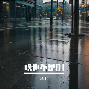 啥也不是DJ