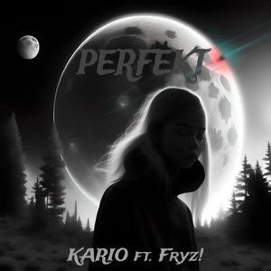 Perfekt (feat. Fryz!)