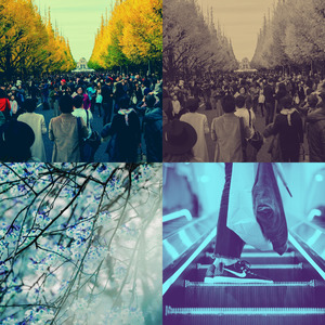 抚慰的在职的回忆