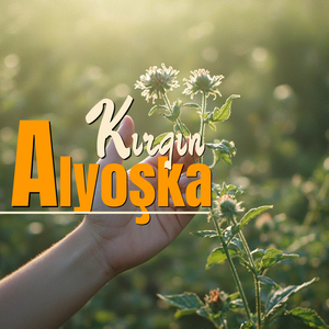 Yüksek Minarede Kandiller Yanar