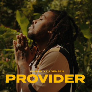 Provider