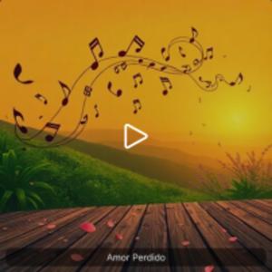 Amor Perdido