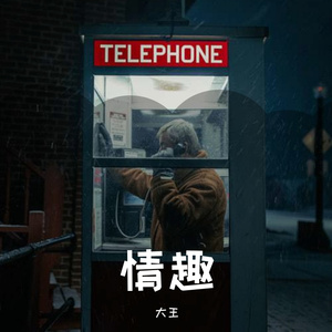 范迪塞尔认同感