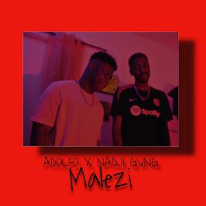 Malezi (feat. Nadji Gvng)