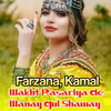 Farzana - Wakht Pasarlya De Wanay Gul Shaway