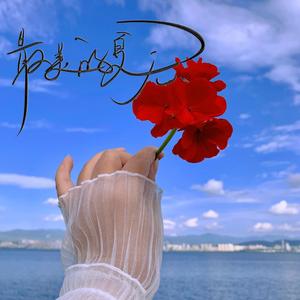 最美的夏天（BGM纯音乐钢琴曲）