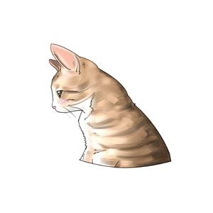 像你没了猫