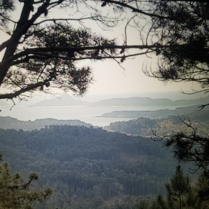 Lévame (Acoustic Version)