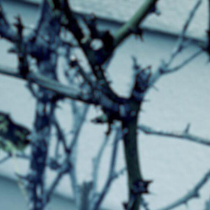 Choke (Prod. deaf notes.)