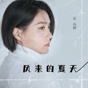 风来的夏天
