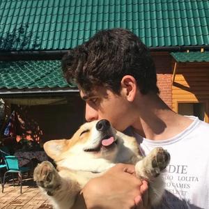 我很快乐（翻自 刘惜君）