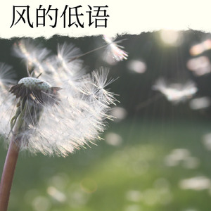 风的低语