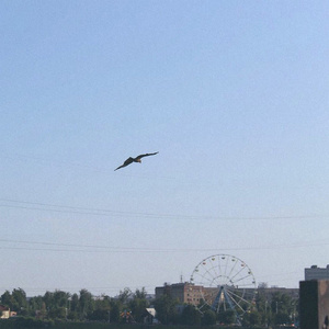 Не оставив следа