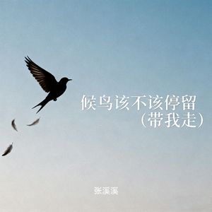 候鸟该不该停留 (带我走)