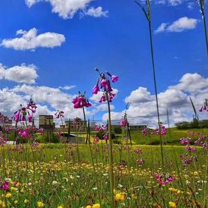 孕中期胎教轻音乐（治愈心情钢琴曲）