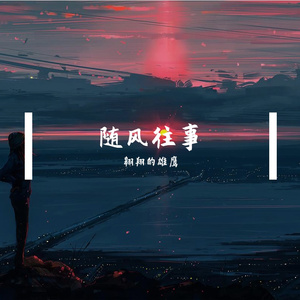 随风往事
