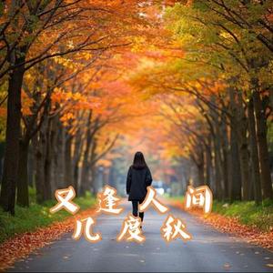 又逢人间几度秋