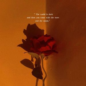 天生反骨的鸵鸟