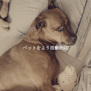 Chilled (Music)