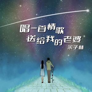 唱一首情歌送给我的老婆 (抖音热播版)