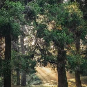 迷失时的方向指引_