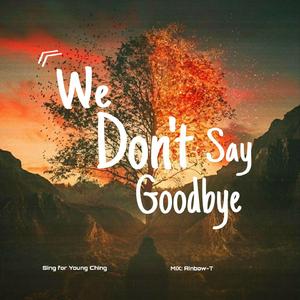 We Don't Say Goodbye