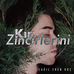 Kır Zincirlerini