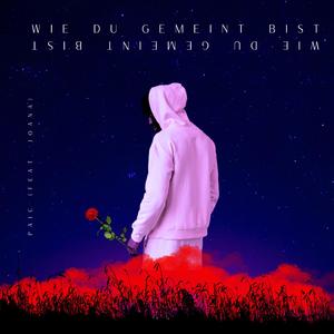 Wie Du gemeint bist (feat. Joana)