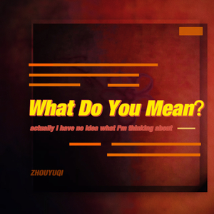 What Do You Mean？