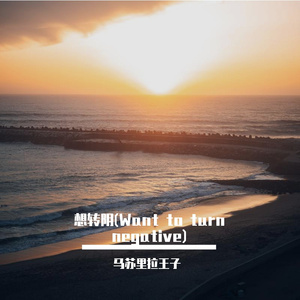 想转阴(live feat.亮AKIRA)