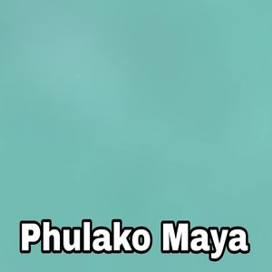 Phulako Maya