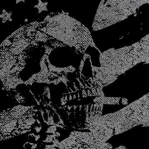 **** THE USA