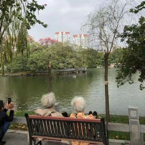 有你在的那个秋天(青春版)