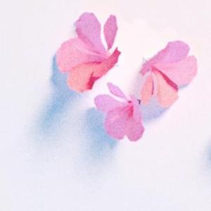 杨花落尽子规啼