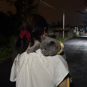 夜路尽头的句点