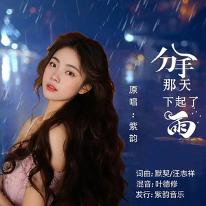 分手那天下起了雨