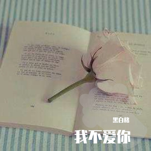 我不爱你