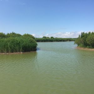 《大河之旁 大海之边》