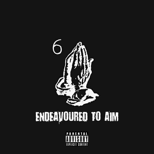 Endeavoured to Aim