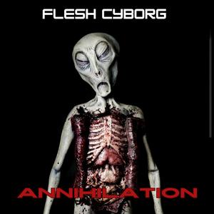 Annihilation