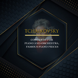 12 Pieces in G Minor, Op. 40:II. Chanson triste. Allegro non troppo