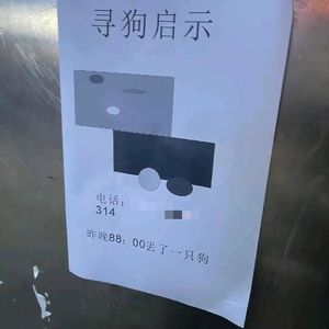 我摸不到我的未来