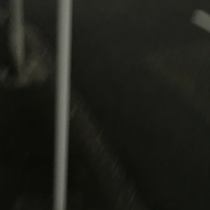 真夜中の遊園地