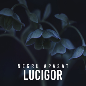 Negru apasat