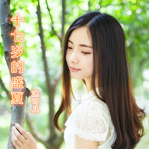 十七岁的盛夏