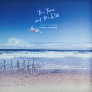 Cold Is The Water (Niklas Thal Remix)