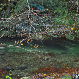 嘘つきな残響 feat. 初音ミク