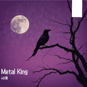 Metal King