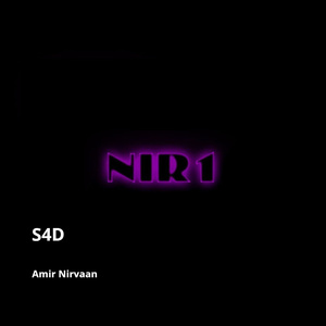 S4D