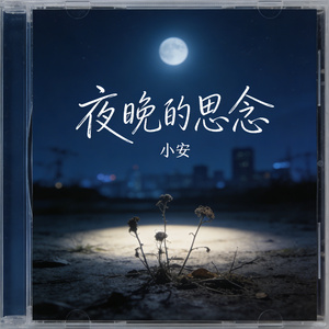 夜晚的思念